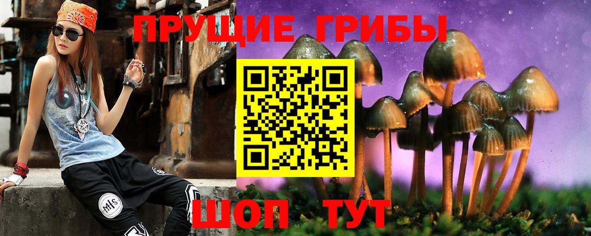 Галлюциногенные грибы мицелий Лениногорск