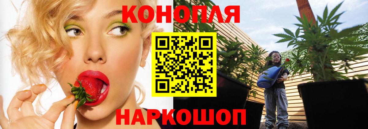 Бошки Шишки конопля  Вход с VPN  Лениногорск  Бошки марихуана сатива  МАРИХУАНА конопля  Марихуана планчик 